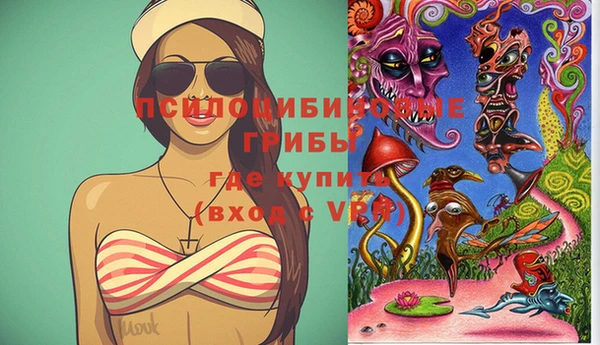 прущий лед Вязьма